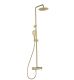 Душевая стойка AQUAme AQM8011BG золото брашированное