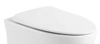 Крышка-сиденье Black&White 751WС  белая