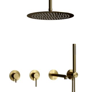 Душевой комплект WasserKRAFT Rhein 9951.99DVR3.068.116.444.010.137.443BG золото матовое