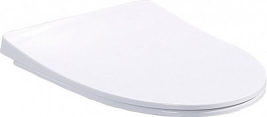 Крышка-сиденье для унитаза BelBagno Alpha BB2177SC