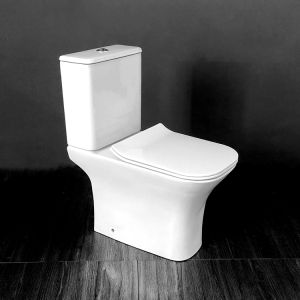 Унитаз Ceruttispa Vettore CT7192 напольный