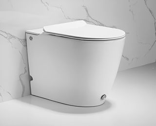 Приставной унитаз Cerutti SPA Barbaria Pulse CT7264 с функцией импульсного смыва белый