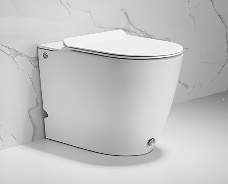 Приставной унитаз Cerutti SPA Barbaria Pulse CT7264 с функцией импульсного смыва белый