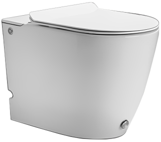 Приставной унитаз Cerutti SPA Barbaria Pulse CT7264 с функцией импульсного смыва белый