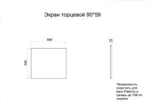 Боковой экран для ванны Triton Щ0000050934 90x59 см