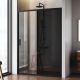 Душевая дверь Am.Pm Gem W90G-140-1-195BG 140 см цвет профиля чёрный матовый стекло тонированное