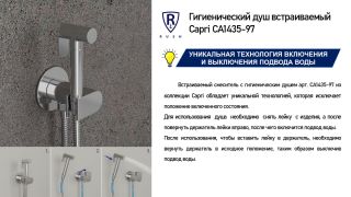 Гигиенический душ встраиваемый RUSH Capri (CA1435-97) Гигиенический душ встраиваемый RUSH Capri (CA1435-97)