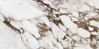 Керамогранит Rex 766333 Bijoux Breche Capraia Glossy 60x120