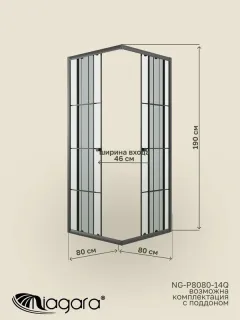 Душевой уголок Niagara Eco NG-1008-14QKL 80x80 см профиль чёрный стекло клетка