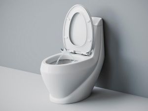 Унитаз-моноблок Laguraty 2160 AС с функцией биде и смесителем белый