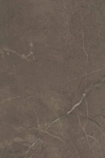 Плитка Kerama Marazzi 8314 Керамическая плитка 20x30x0,69 Эль-Реаль бежевый глянцевый