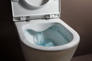 Унитаз Laufen Pro 8.2096.6.000.000.1 подвесной