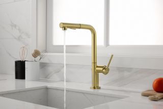 Смеситель для кухни Paulmark Neo Ne214419-BG брашированное золото Смеситель для кухни Paulmark Neo Ne214419-BG брашированное золото