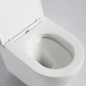 Подвесной унитаз Cerutti SPA Ticino Aria MW CT8917 безободковый белый матовый