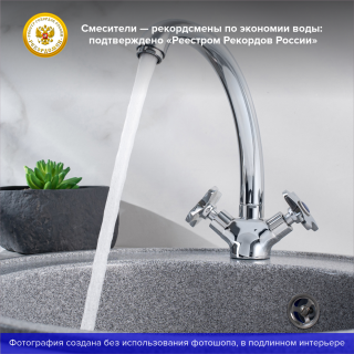 Смеситель для кухни РМС SL115-273F хром Смеситель для кухни РМС SL115-273F хром