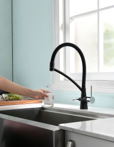 Смеситель для кухни Paulmark Siegen Si213111-308 чёрный