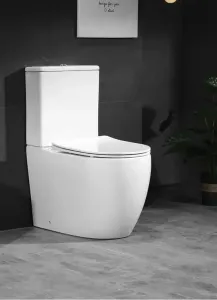 Унитаз напольный Ceruttispa Orlter CT9867 безободковый белый
