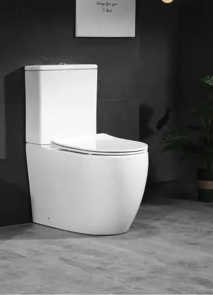 Унитаз напольный Ceruttispa Orlter CT9867 безободковый белый