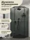 Душевой уголок Niagara Eco NG-1009-14DT 90x90 см профиль чёрный стекло тонированное