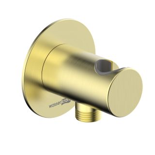 Подключение для душевого шланга WasserKRAFT Muritz A444GR золото матовое
