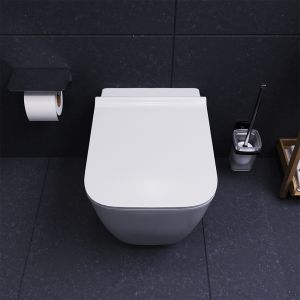Унитаз подвесной  Damixa TITAN DX78C1700SC безободковый с сиденьем микролифт