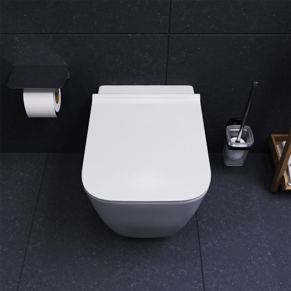 Унитаз подвесной  Damixa TITAN DX78C1700SC безободковый с сиденьем микролифт