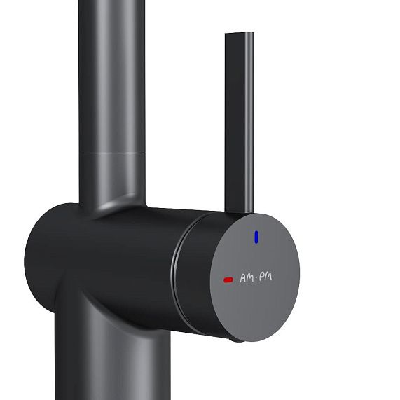 Смеситель для кухни Am.Pm Func F8F07022 черный