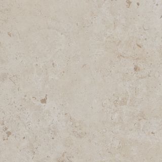 DD641020R Про Лаймстоун серый светлый натуральный обрезной 60x60x0,9  (1,44)
