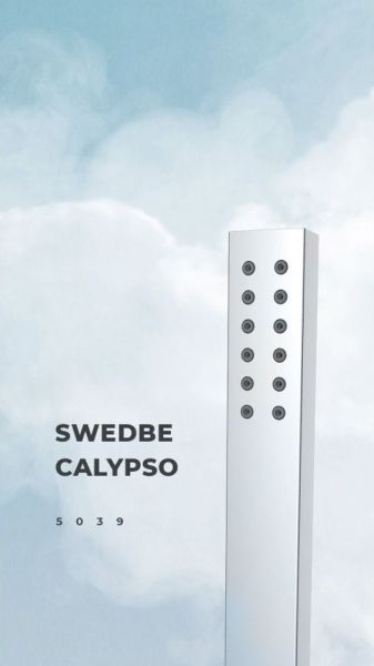 Душевая лейка Swedbe Calypso 5039 хром Душевая лейка Swedbe Calypso 5039 хром