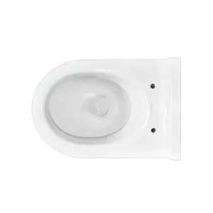 Унитаз Sanita Luxe Attica WC.WH/Attica/DM/WHT.G/S1 с сиденьем Микролифт