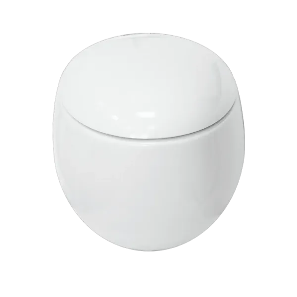 Унитаз Sanita Luxe Ringo WC.WH/Ringo/DM/WHT.G/S1 с сиденьем Микролифт