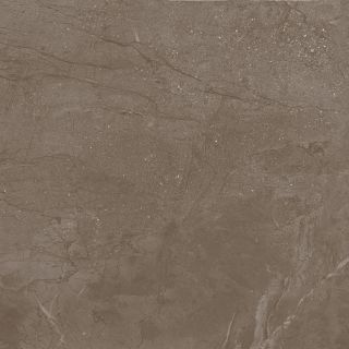 Керамогранит Laparet Нобл Мокка ПРО R11/A Бархат, х9999317685, 60х60, светло-бежевый