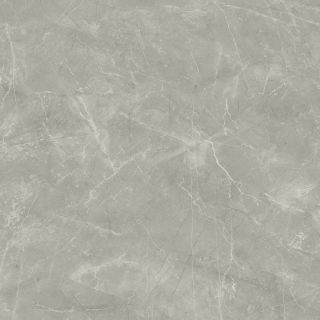 Керамогранит Laparet Wolf Grey, х9999289550, 80х80, серый