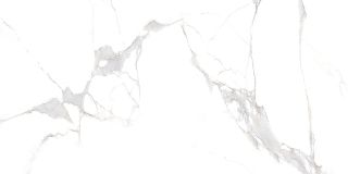 Керамогранит Laparet Statuario Classic, х9999275937, 60х120, белый