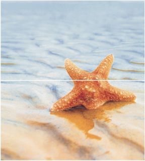 Керамогранит Ceradim Дэк Старфиш 1 Панно (панно из 2-х шт) КПН16Starfish1, х9999019799, 50х45, разноцветный