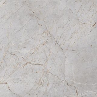 Керамогранит Laparet Silver Root, х9999282650, 60х60, серый