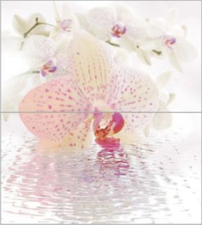 Керамогранит Ceradim Дэк Орхид Панно (панно из 2-х шт) КПН16Orchid, х9999019792, 50х45, разноцветный