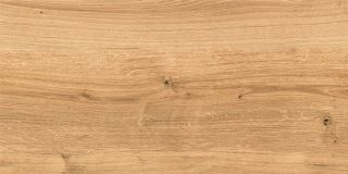 Керамогранит Cersanit Вудхаус глаз. (16346), х9999222961, 29,7х59,8, коричневый