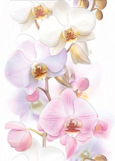 Керамогранит Cersanit Tropicana Декор Orchids (TC2M051DT), х9999077999, 35х25, белый, розовый