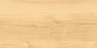 Керамогранит Cersanit Вудхаус глаз. (16344), х9999222957, 29,7х59,8, бежевый