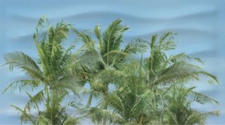 Керамогранит Ceradim Дэк Палм Панно A КПН16PalmA, х9999066734, 25х45, голубой
