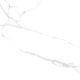 Керамогранит Laparet Atlantic White, х9999275956, 60х60, белый