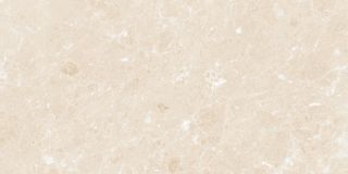 Керамогранит Cersanit Alicante настенная светло-бежевая (ACL301D), х9999220994, 29,8х59,8, бежевый
