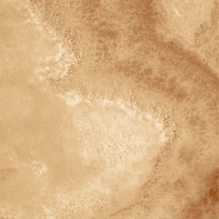 Керамогранит Laparet Прайм SG165400N, х9999219836, 40,2х40,2, оранжевый