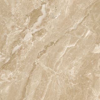 Керамогранит Ceradim Гоби GO 0050, х9999283274, 60х60, коричневый