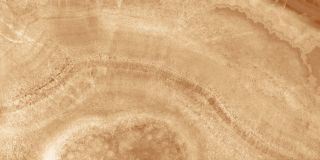 Керамогранит Laparet Прайм настенная 34027, х9999219819, 25х50, оранжевый