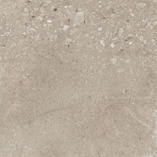 Керамогранит Ceradim Харлей, х9999299424, 50х50, бежевый