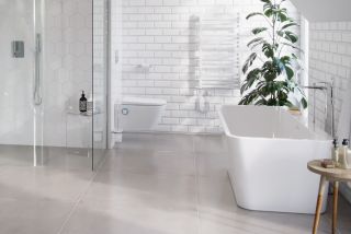 Ванна акриловая EXCELLENT Ванна Lila 2.0 160x73 отдельностоящая Ванна акриловая EXCELLENT Ванна Lila 2.0 160x73 отдельностоящая