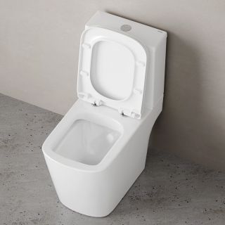 Унитаз-компакт Damixa Titan DX78C8601SC безободковый с сиденьем микролифт белый