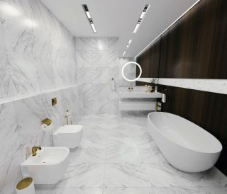 Керамогранит Absolut Gres Statuario Classic AB 1003G Gloss 60x60 см